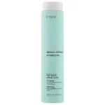 Безсульфатний детокс-шампунь ERAYBA ABH Detox Refresh Shampoo з алое та мʼятою, 250 мл